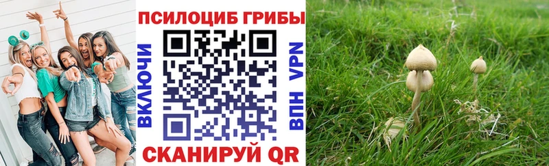 ОМГ ОМГ рабочий сайт Новодвинск Псилоцибиновые грибы Cubensis
