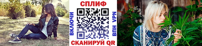 МЕГА ссылки  Новодвинск  Канабис индика 